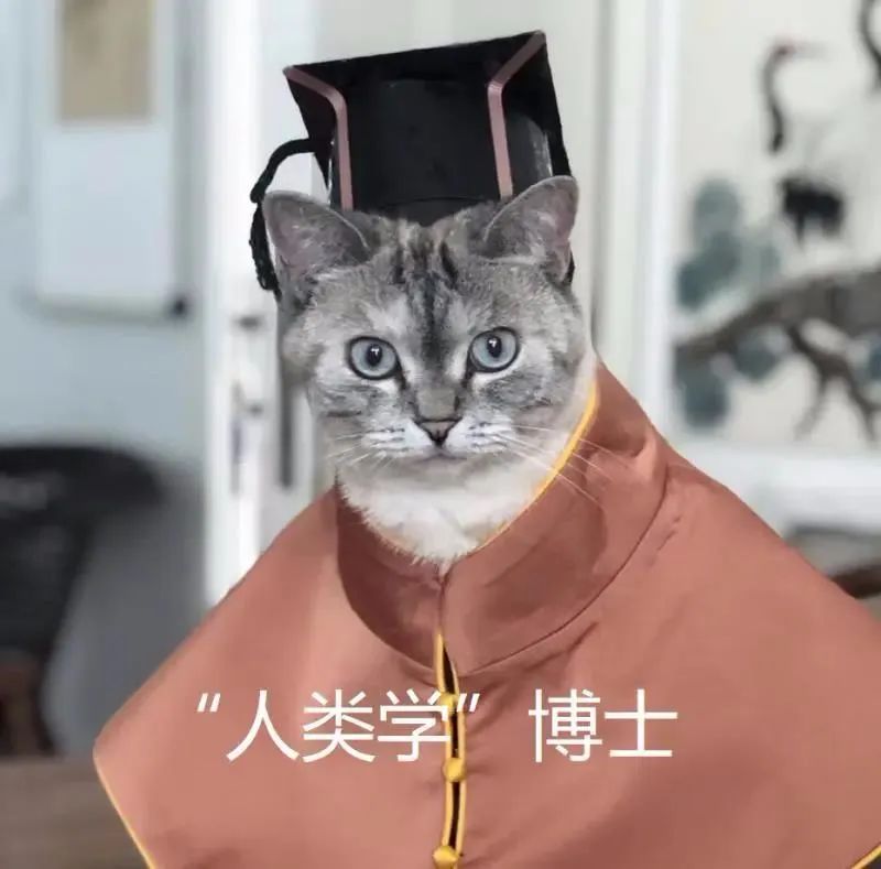 中央美院“學(xué)士服”美上熱搜！網(wǎng)友：這是什么神仙設(shè)計(jì)？