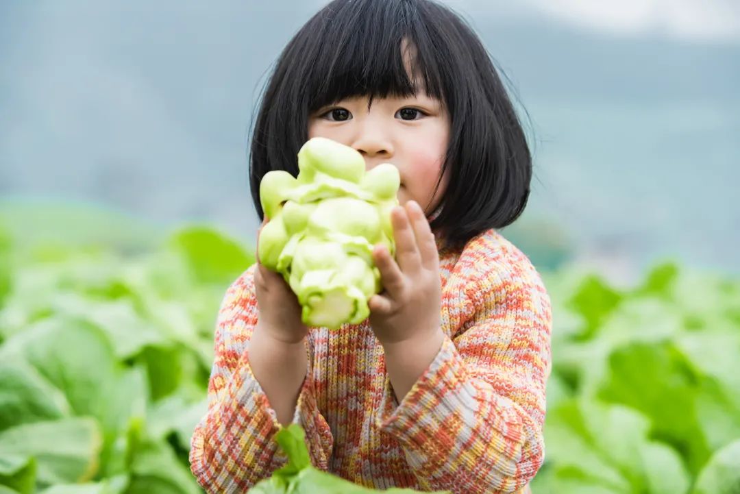 中國(guó)國(guó)家地理為《烏江》拍紀(jì)錄片，探索一包榨菜的前世今生