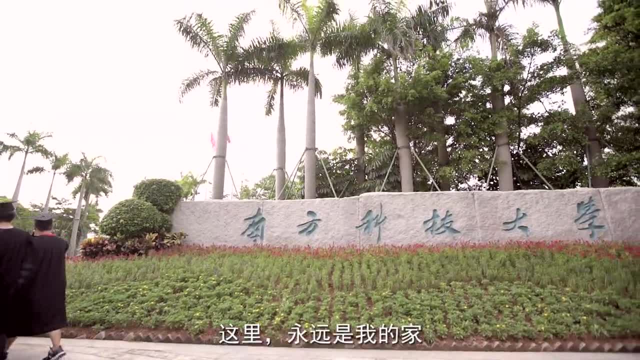 南方科技大學樹仁學院宣傳片